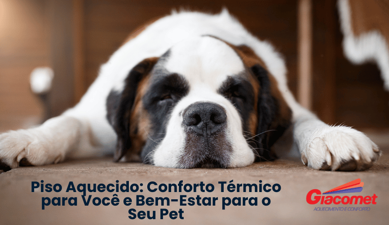 Piso Aquecido: Conforto Trmico para Voc e Bem-Estar para o Seu Pet